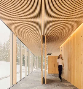 A modern interior corridor with wooden walls and ceiling, large windows, and a person walking by.