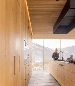 A modern residential kitchen featuring wooden cabinets against a backdrop of snowy mountains.