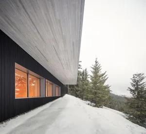 Modern exterior of building with black metal panels and wood roof in snowy forest setting.