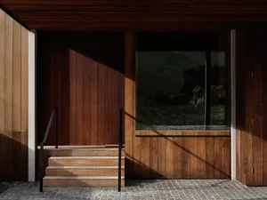 A modern front entryway featuring wooden steps and walls with a large window.