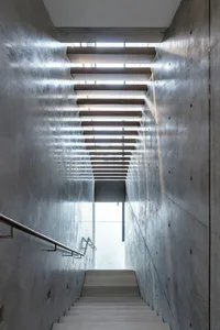 A modern staircase with wooden steps and concrete walls, illuminated by natural light from above.