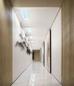 Modern contemporary hallway with wood finish and ceiling lights