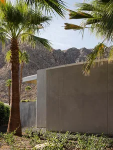 Modern house with concrete exterior and palm trees.