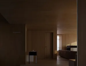 Modern residential interior with wooden walls and flooring, contemporary design elements.