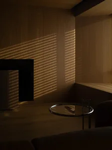 Modern minimalist living room with wooden walls and furniture.