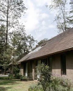 A modern residential exterior with a timber roof and surrounded by greenery.