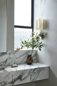 a minimalist bathroom with marble finishes, showcasing sleek and elegant designs.