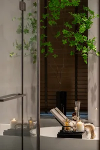 A modern bathroom featuring glass walls and a green plant on the window sill.