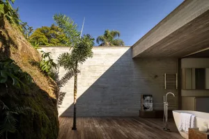 Modern interior space with concrete walls and wooden floors, featuring a freestanding bathtub, palm trees, and natural light.