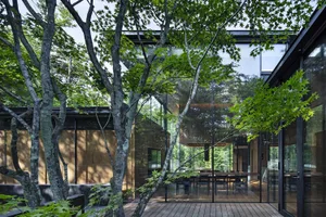 Modern residential architecture featuring glass walls and wooden interior