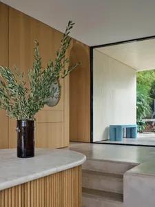 A modern residential entrance featuring wooden paneling, marble counter, and concrete steps.