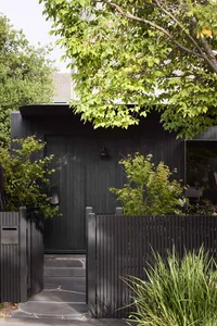 A modern house entry featuring a black wooden door surrounded by greenery and a black fence.