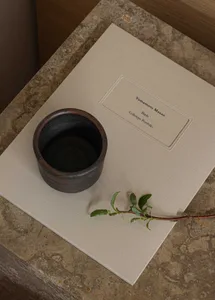 A book cover featuring a ceramic plant on a textured paper surface.