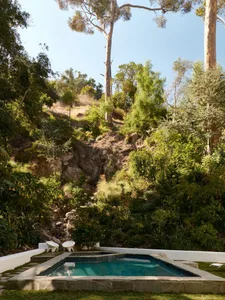 Modern outdoor area featuring natural elements and a pool, surrounded by native plants and trees.