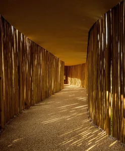 A minimalist architectural pathway lined with bamboo and gravel, illuminated by natural light.