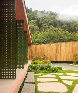 A modern frame with a treasure of green foliage surrounded by a well-maintained lawn.