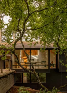 A modern minimalist house featuring wood and glass materials.
