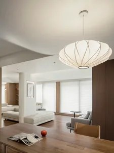 Modern residential living room featuring contemporary furnishings and a ceiling light fixture with a unique design.