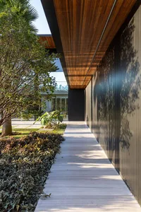 Modern architectural exterior featuring wood and concrete patio