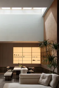 Modern living room featuring flush lighting and a plant in a contemporary setting.