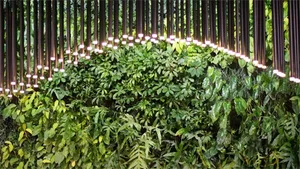 Bamboo vertical garden with integrated lighting