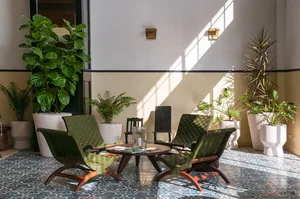 Potted plants arranged in a modern, minimalist interior living room with concrete elements.