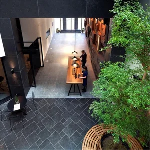 A minimalist office space featuring a modern wooden desk and green plants.