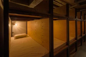 Modern minimalist bedroom with wood paneling and a single bed.