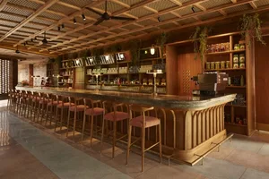 A cozy restaurant interior with a wooden bar counter illuminated by warm lighting and green plants.