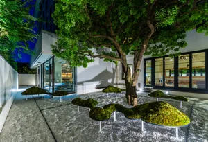 A modern landscape with concrete paving surrounded by moss-covered rock formations, featuring a single tree providing greener