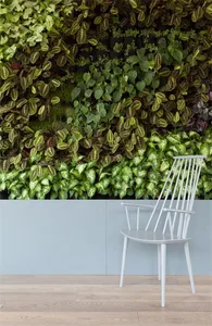 An indoor garden featuring a living wall of various foliage.