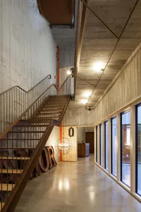 Industrial-style office interior with concrete walls, wooden accents, and a large staircase.