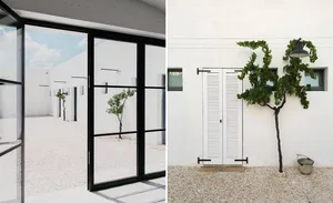 Modern exterior garden featuring white walls, concrete surfaces, and greenery.