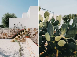 A minimalist white stone building with cactus plants in front of a stone wall.