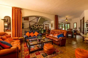 Modern living room featuring leather sofas, patterned rug, and decorative elements.