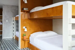 A minimalistic bedroom with bunk beds made of wood, white bedding, and a small plant on a wooden shelf.