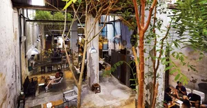 An industrial-style cafe interior with concrete walls, hanging lights, and plants.