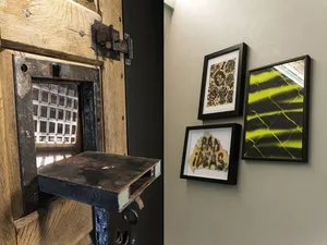 Three framed photographs hanging on a wall, one depicting a yellow and green abstract artwork, another featuring a detailed b