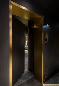 Modern minimalist entrance featuring a bronze-framed door with black wood paneling and gray carpet.