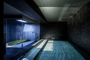 Modern minimalist swimming pool interior with concrete tiles and glass walls, featuring a tree and natural light.