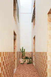 An image displaying a modern indoor brick pathway design with green plants.