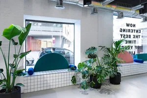 Modern minimalist interior with concrete elements and plants