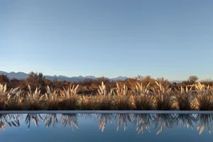 A serene pool reflects tall grass and a vast landscape under a clear blue sky.