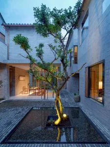 A minimalist residential interior with a concrete floor and a tree planted in a courtyard with water.
