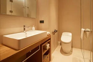 Modern bathroom with a sleek ceramic sink and toilet, featuring minimalist design elements.