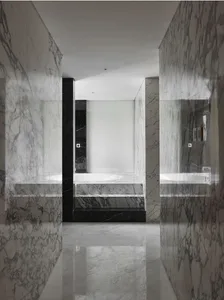 Modern minimalist bathroom with marble walls and flooring