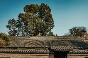 古陶瓦屋頂搭配磚牆的傳統民居。