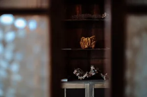 A wooden shelf with decorative items, including a brown textured object and a piece of wood with branches.