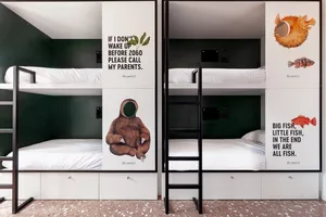 A modern bunk bed with posters and minimalist decor in a bedroom setting.