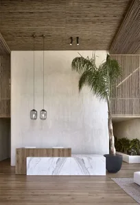 Modern lobby with marble and concrete finishes, featuring a tall palm tree and minimalist design.